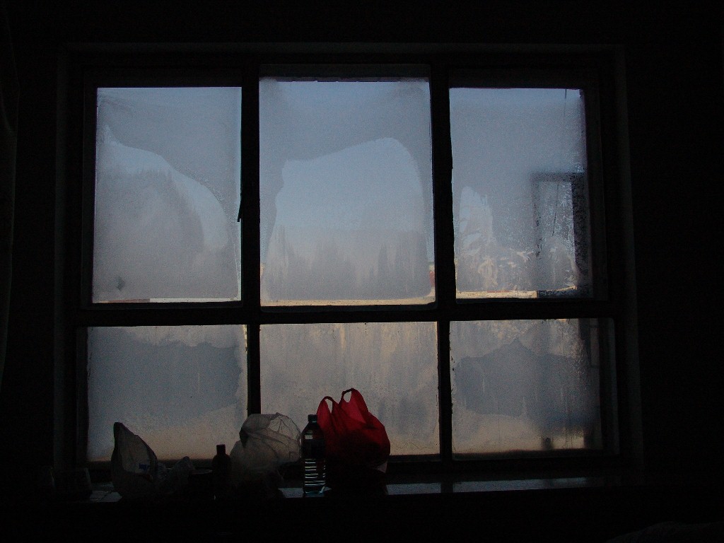 010.jpg