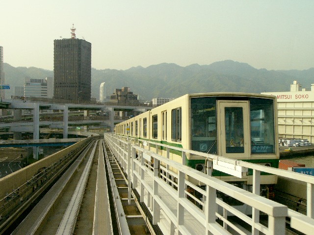 0605plt13.JPG