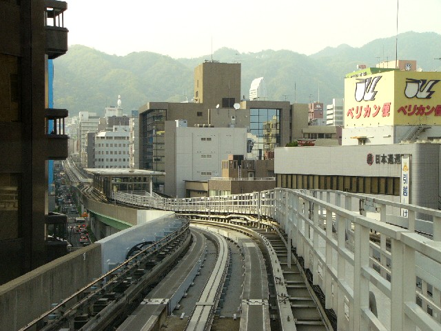 0605plt18.JPG