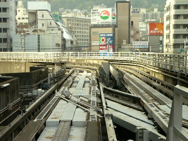0605plt20.JPG