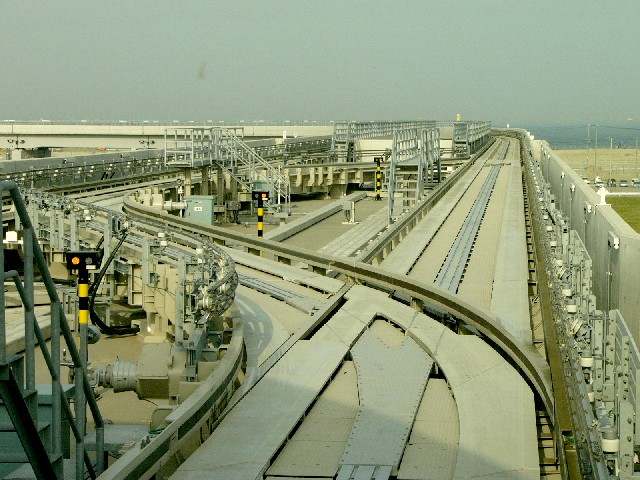 0605plt2.JPG