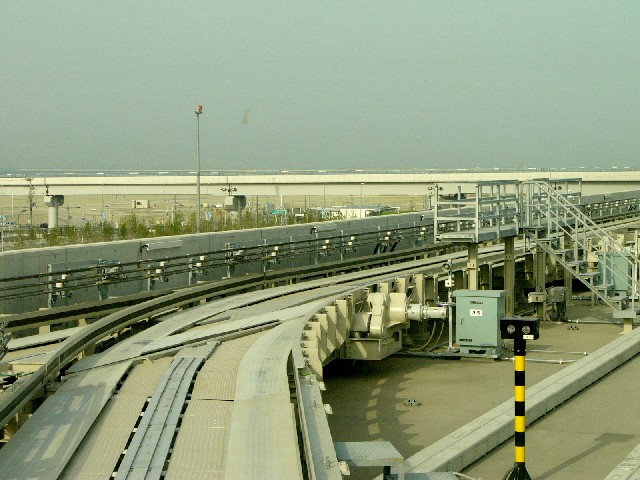 0605plt3.JPG