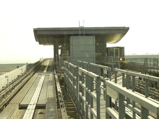 0605plt6.JPG