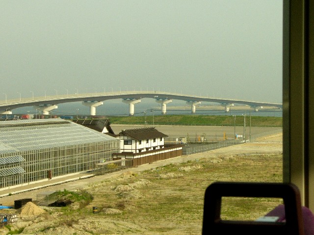 0605plt7.JPG