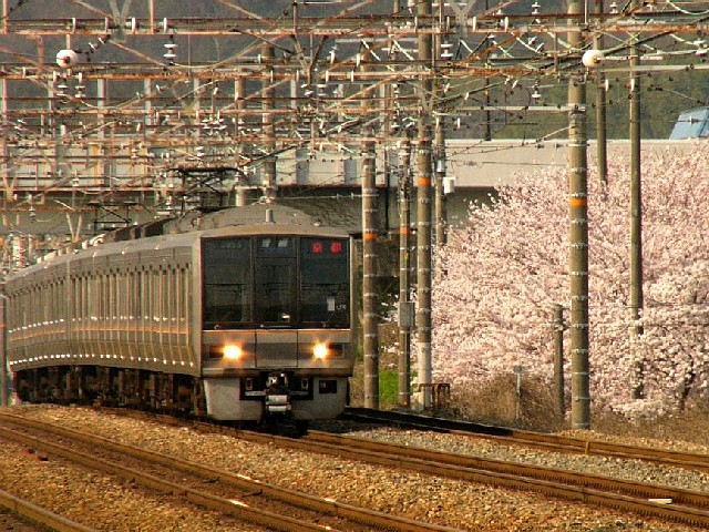06hys07.JPG