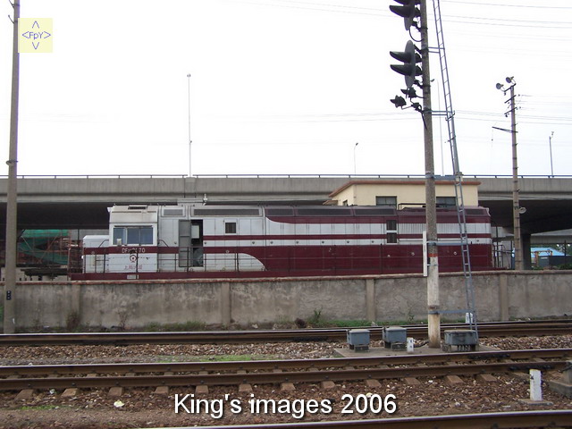 19.JPG