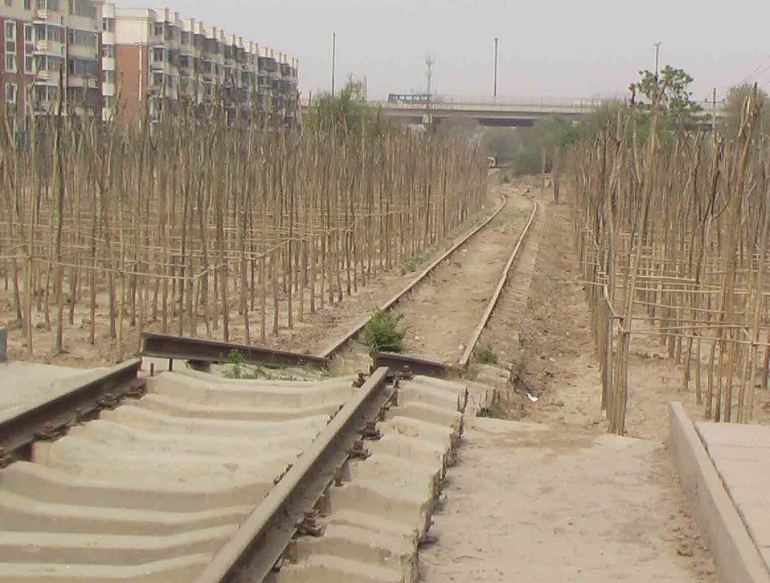 20065323555536876.jpg