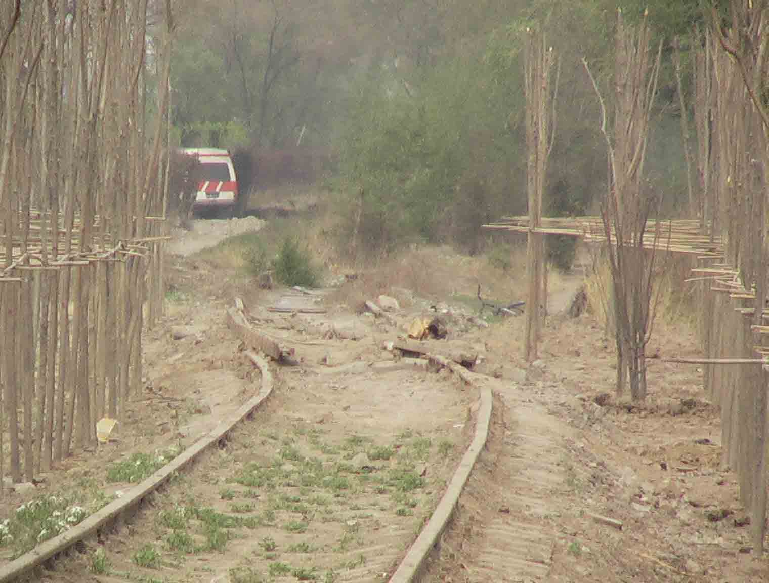 20065323563831624.jpg
