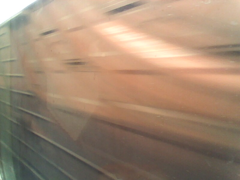 IMG0051A.jpg