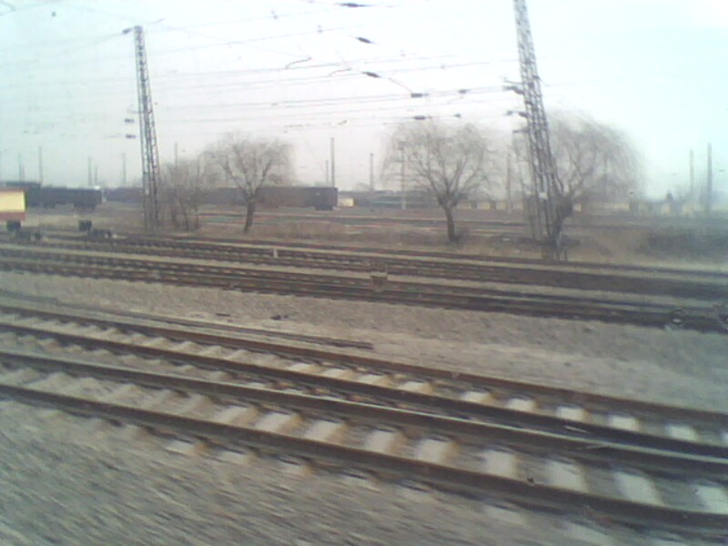 IMG0065A.jpg
