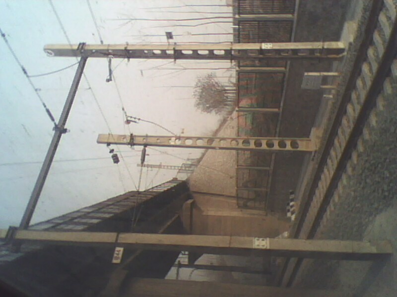 IMG0083A.jpg