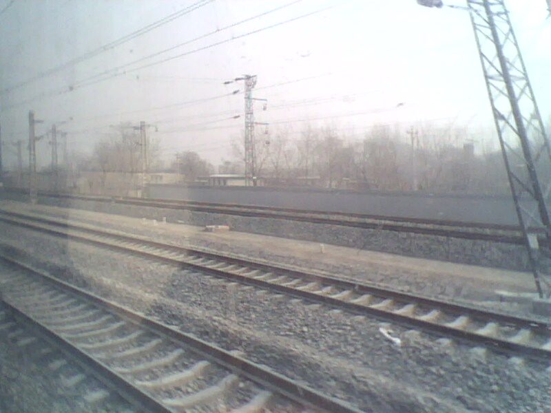 IMG0095A.jpg