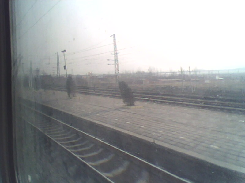 IMG0103A.jpg