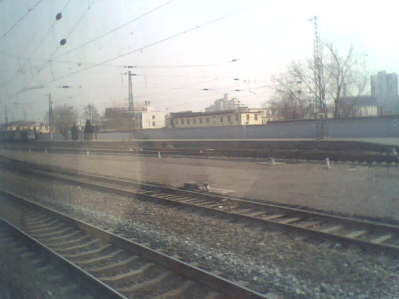 IMG0113A.jpg