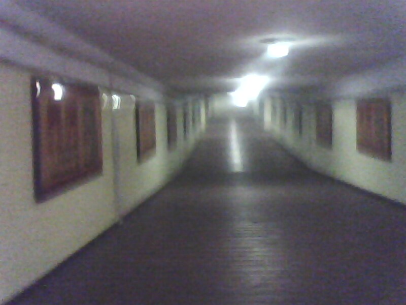 IMG0034A.jpg