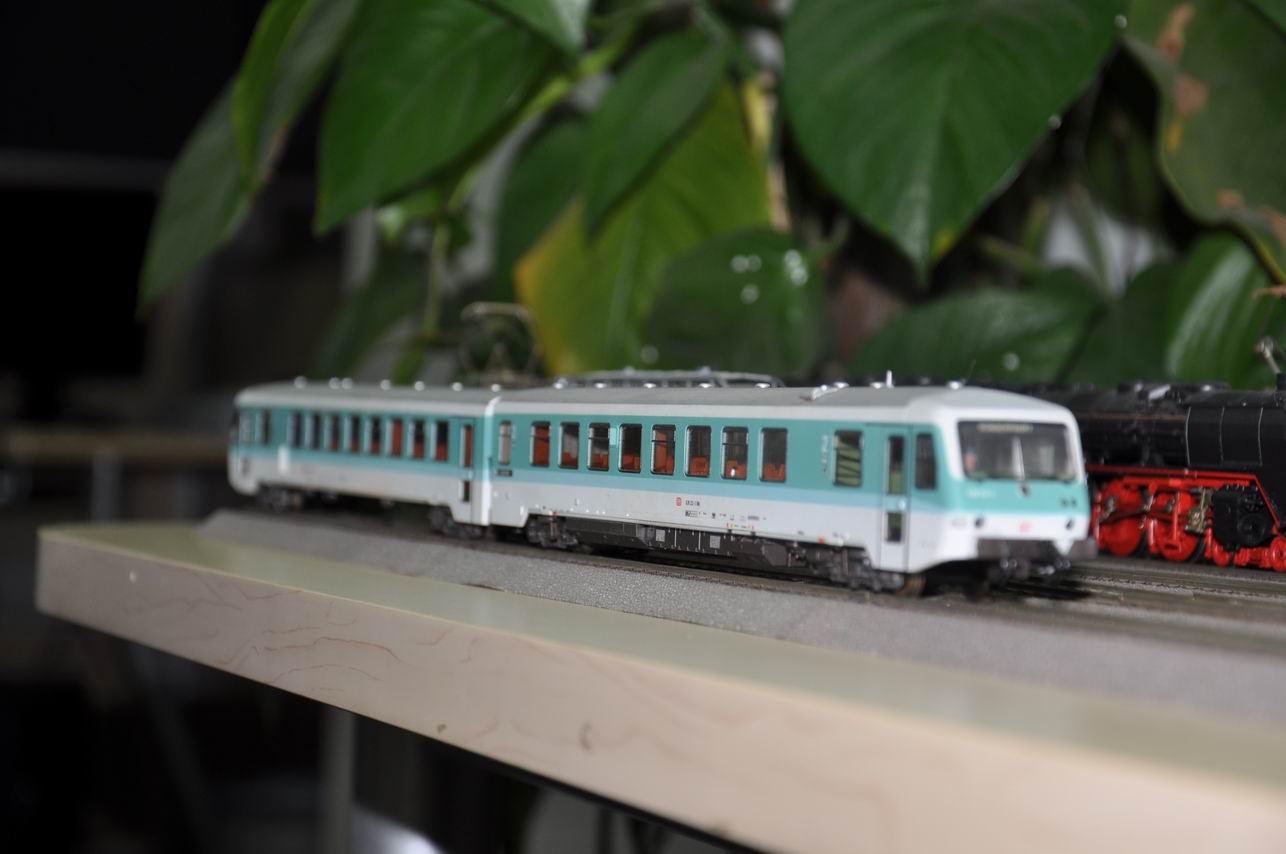 调整大小 DSC_0080.JPG