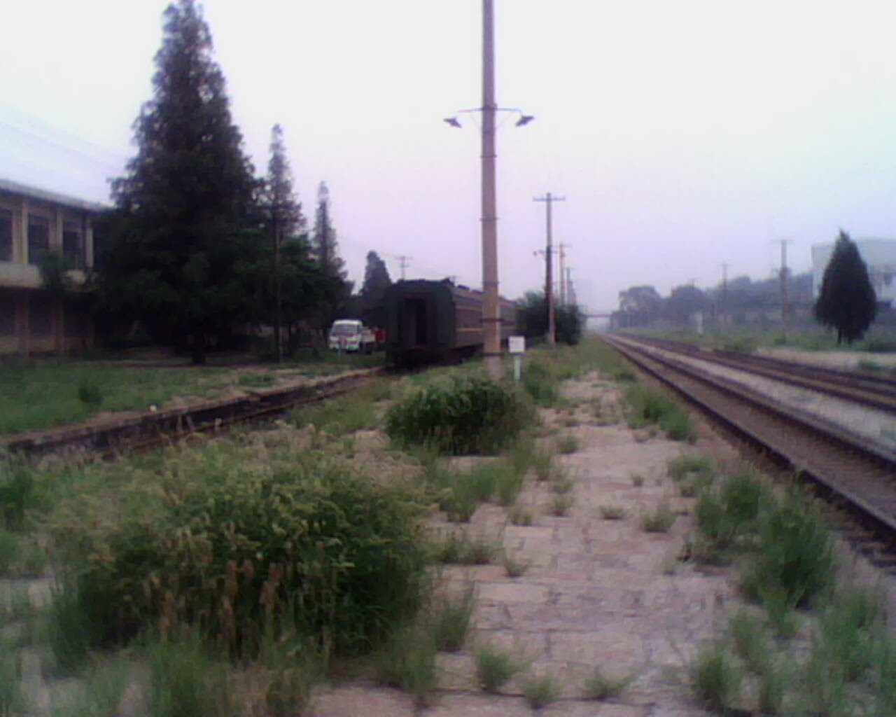 IMG0769A.jpg