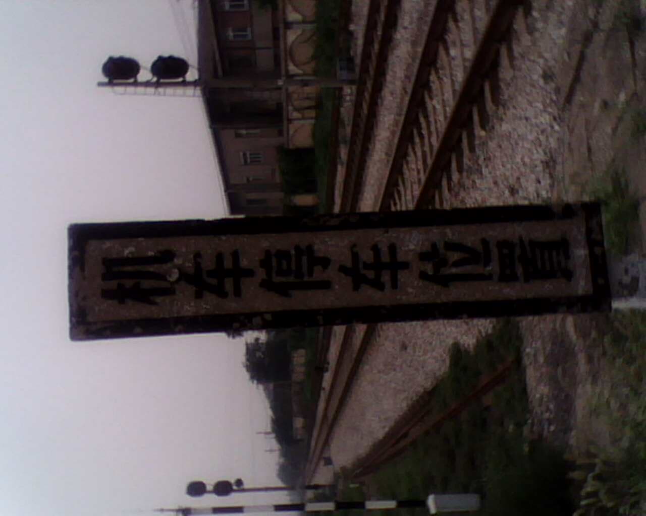 IMG0770A.jpg