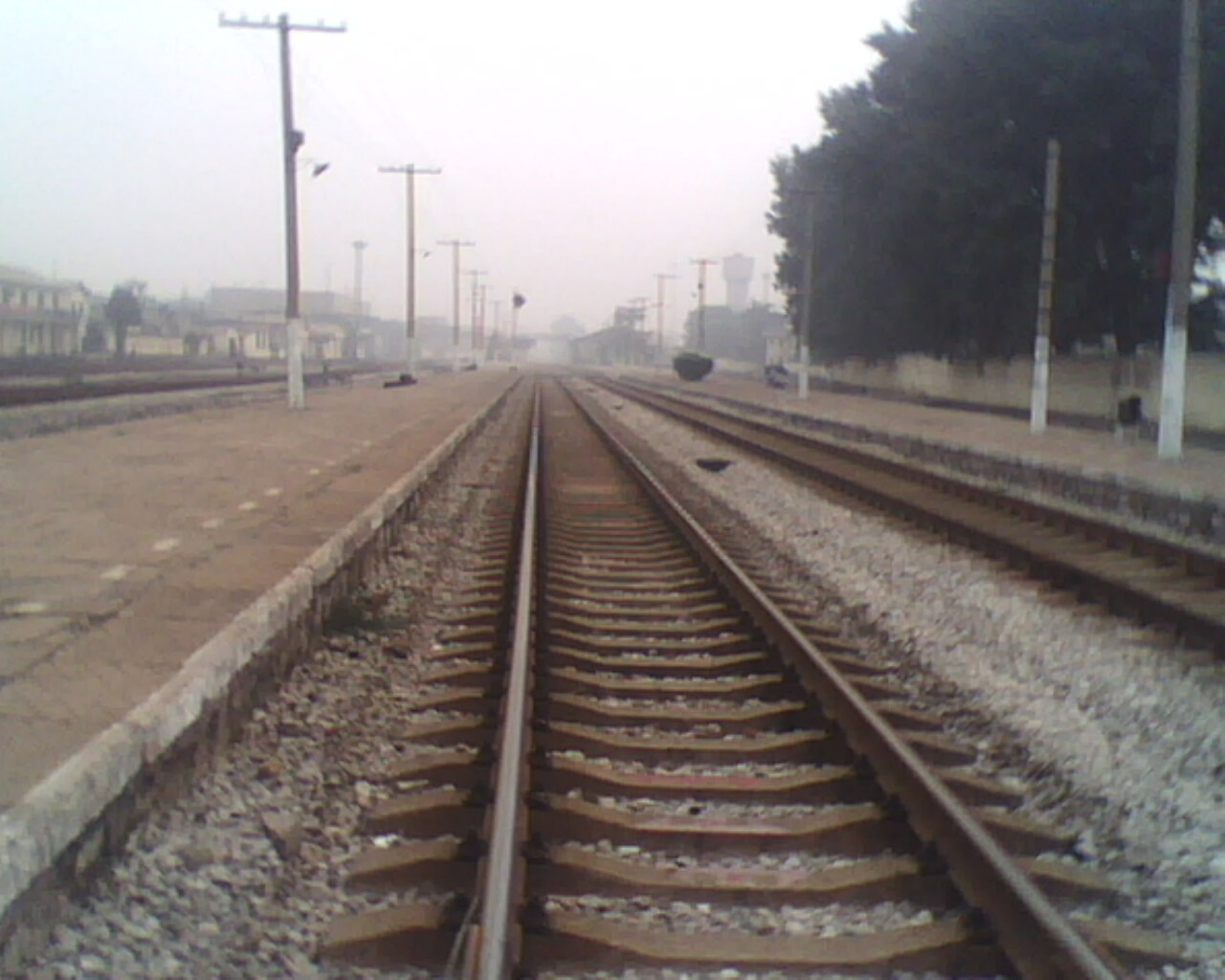 IMG0869A.jpg