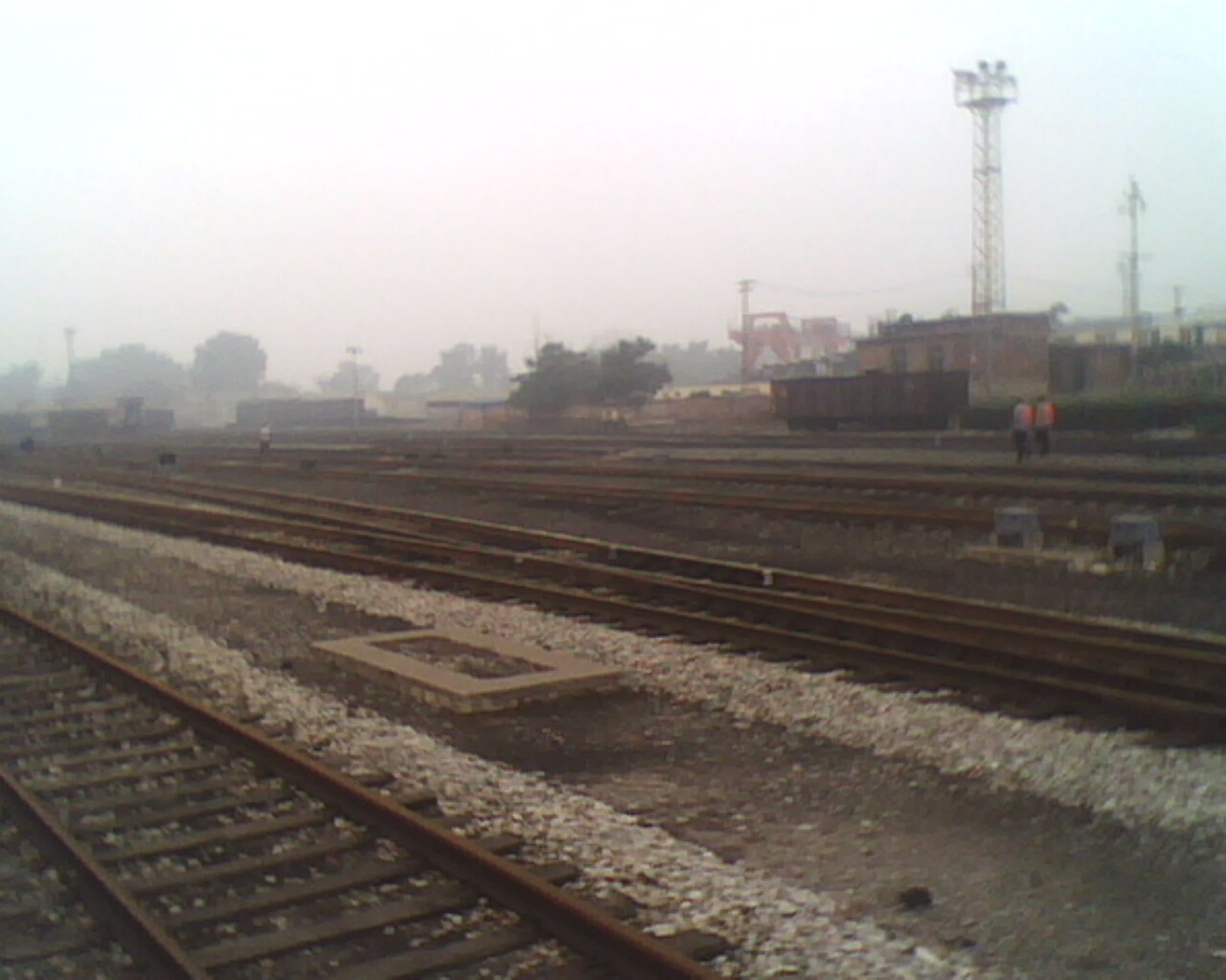 IMG0870A.jpg