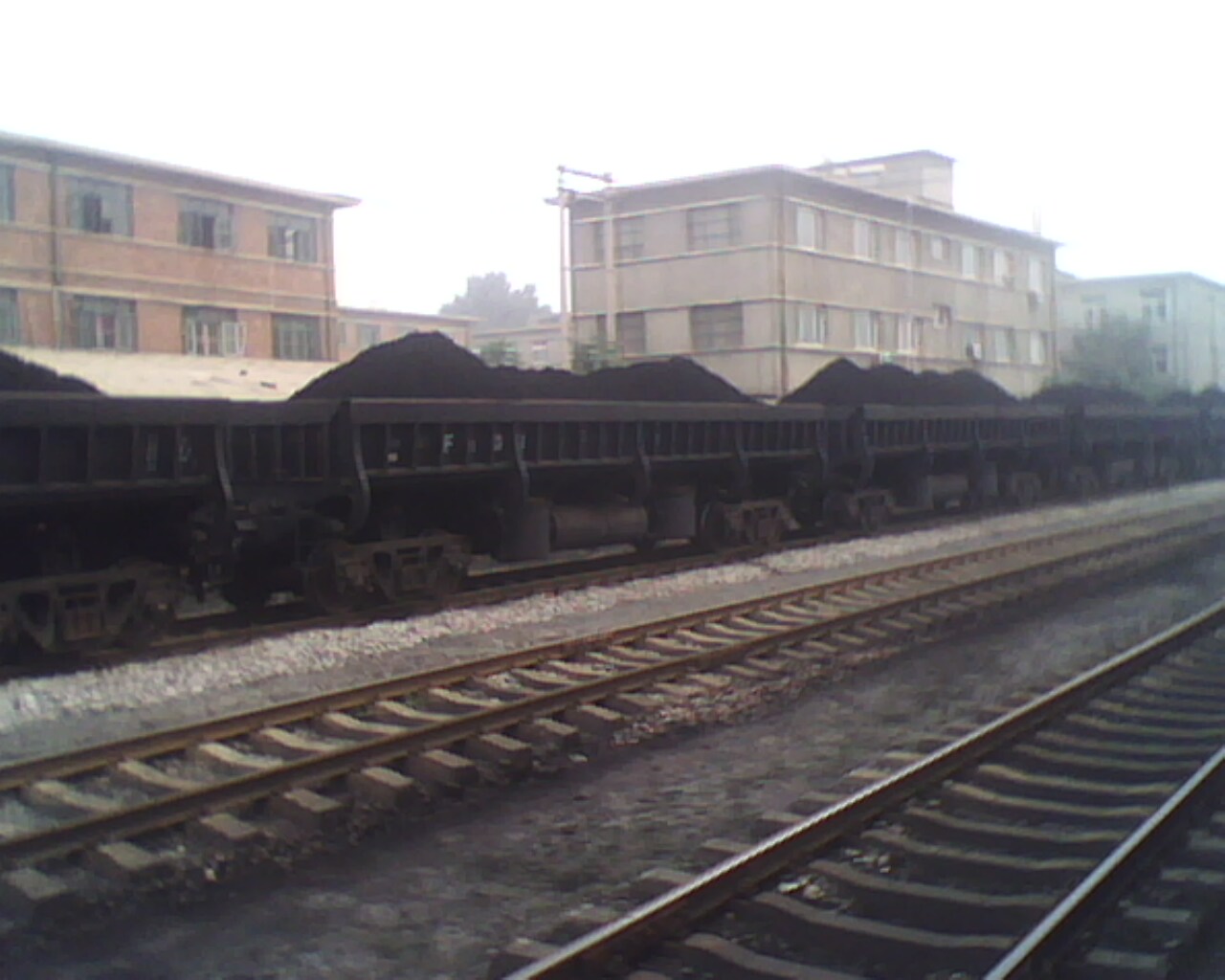 IMG0871A.jpg