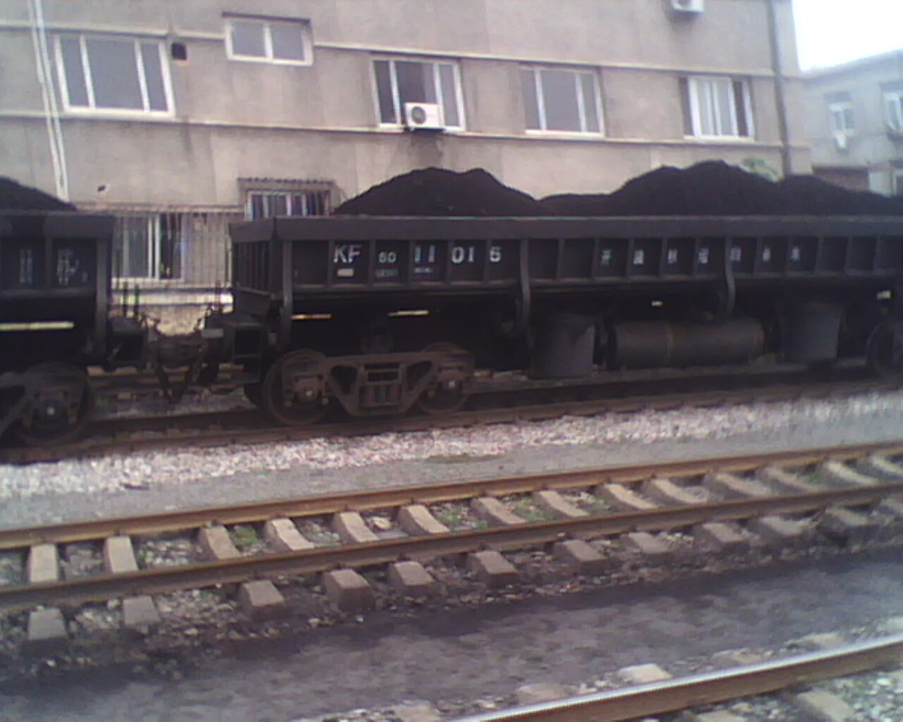 IMG0873A.jpg