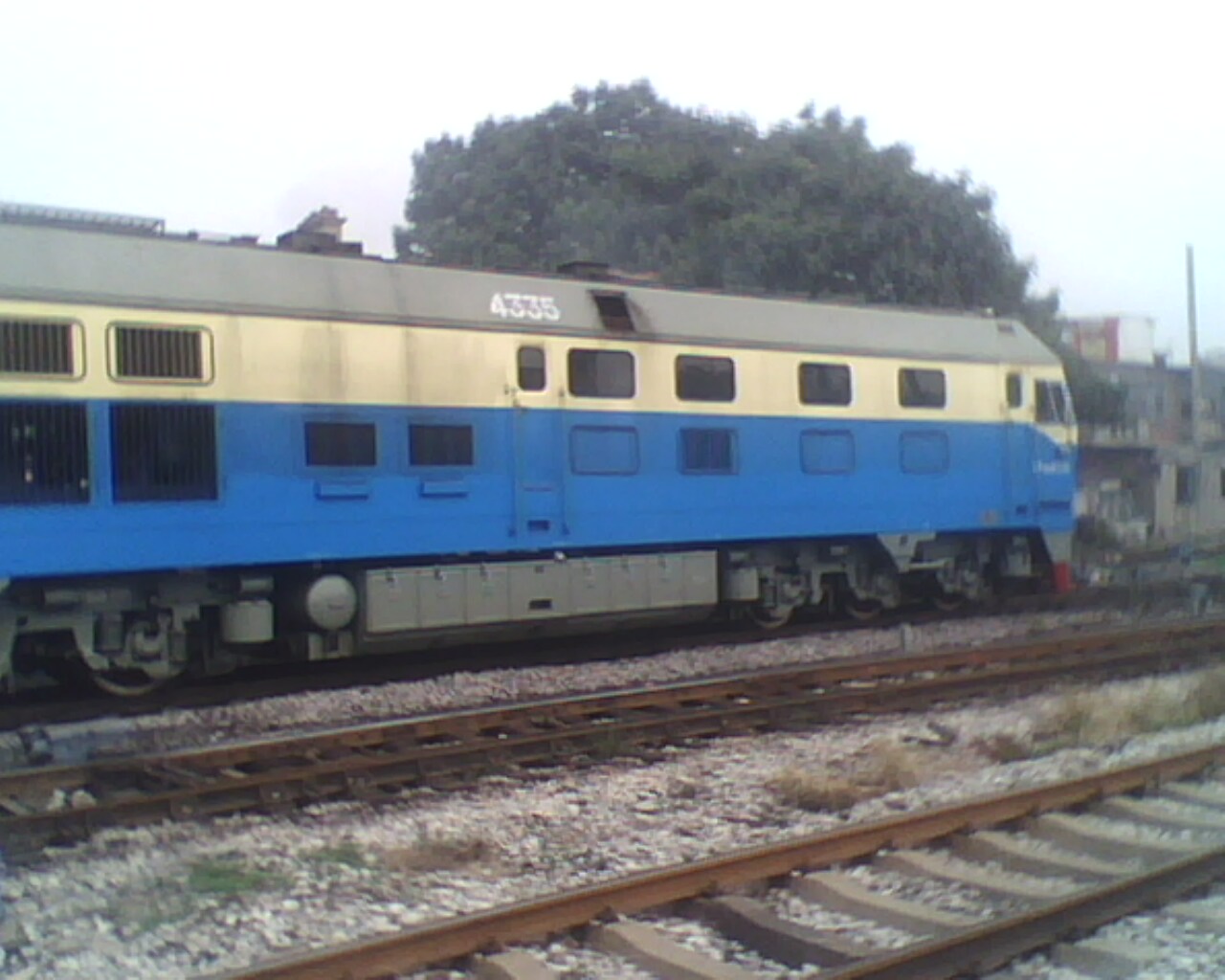 IMG0876A.jpg