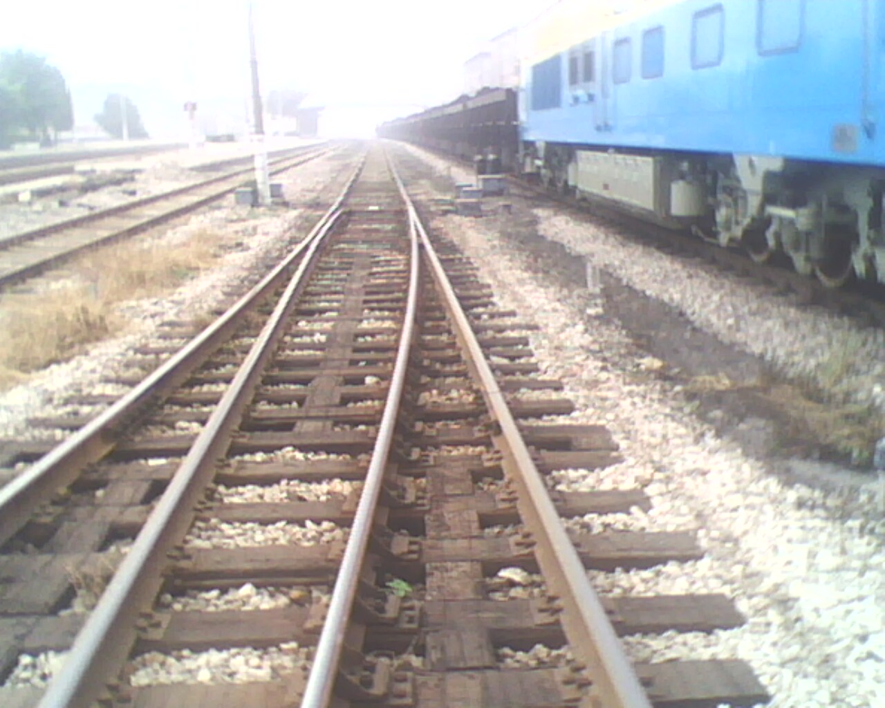 IMG0881A.jpg