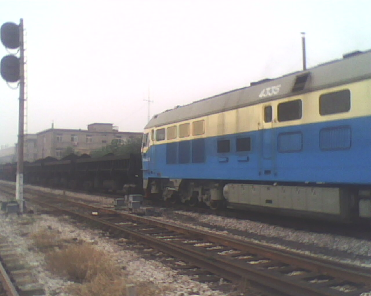 IMG0882A.jpg