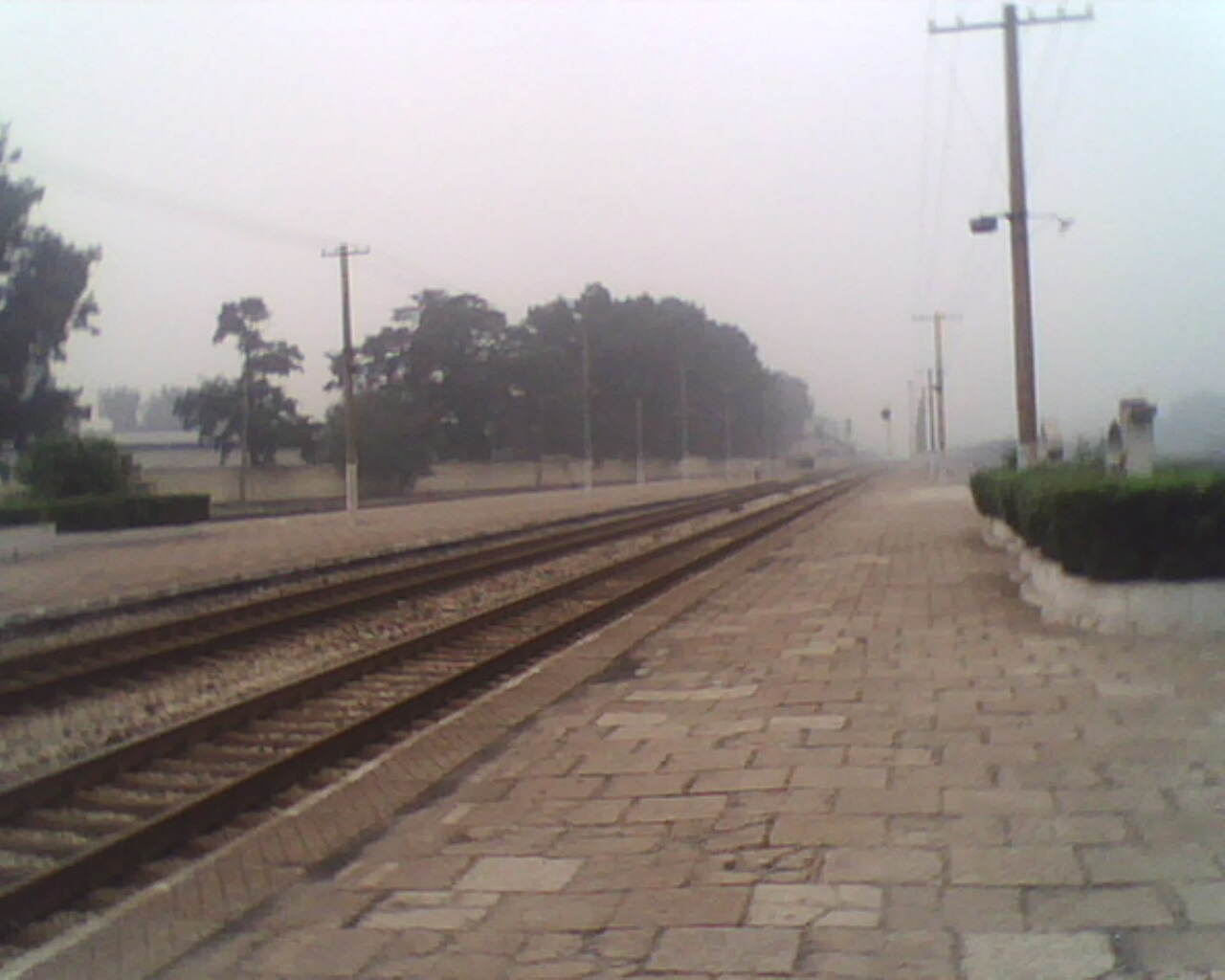 IMG0862A.jpg