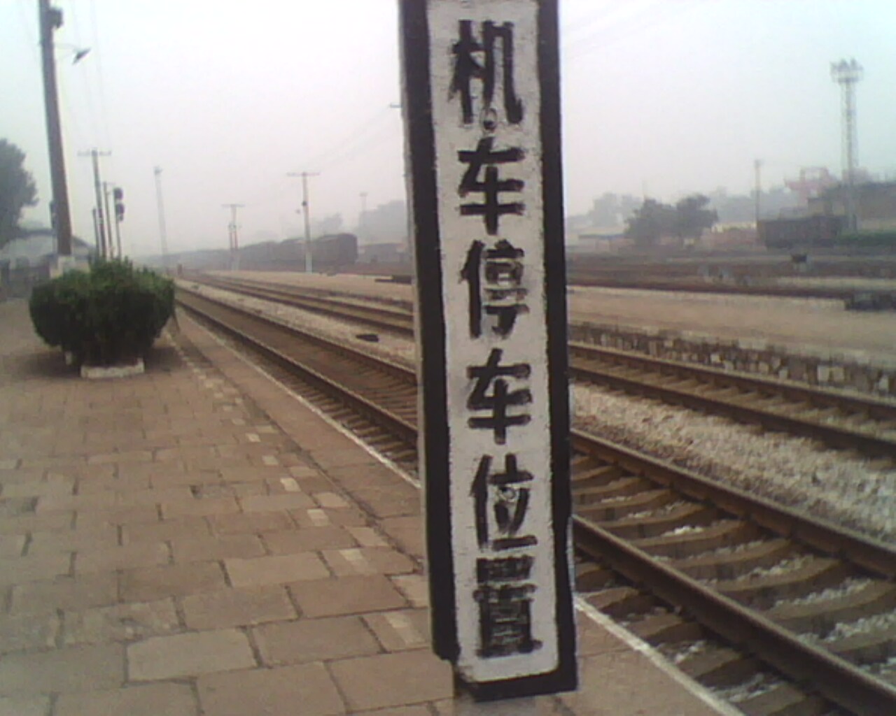 IMG0864A.jpg