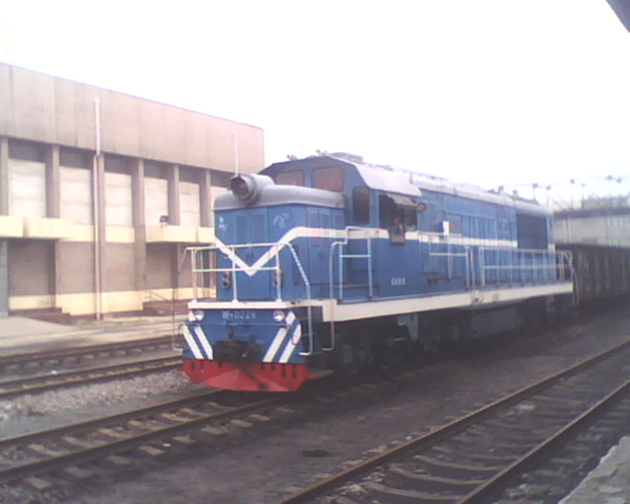 IMG0890A.jpg