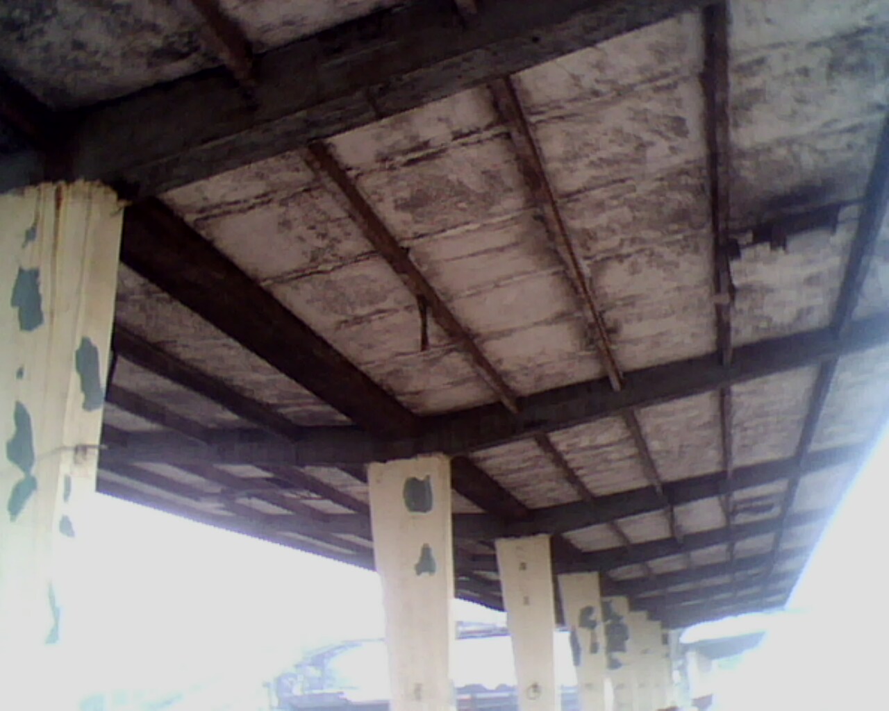 IMG0900A.jpg
