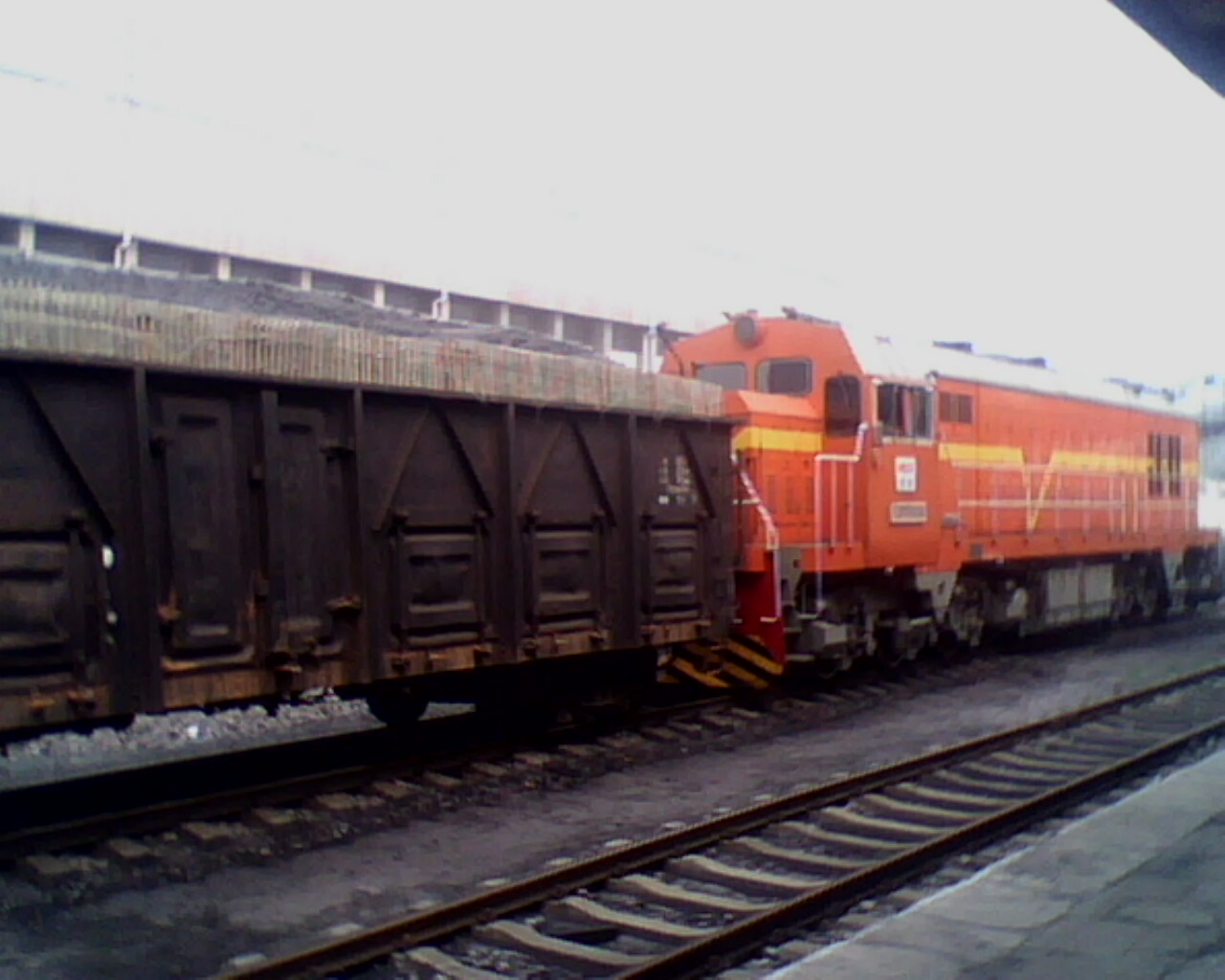 IMG0906A.jpg