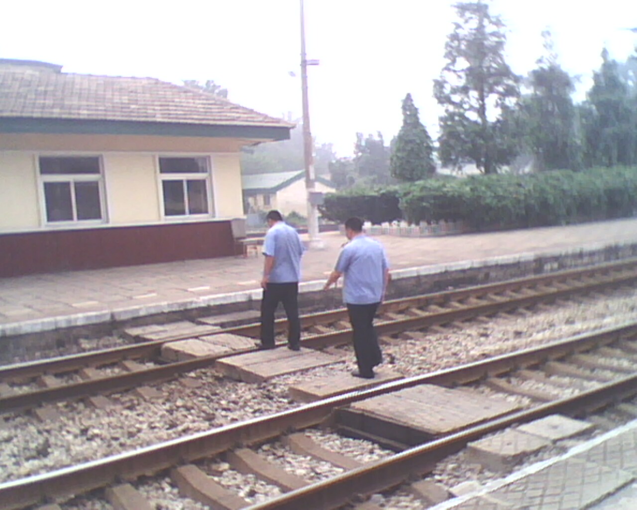 IMG0897A.jpg