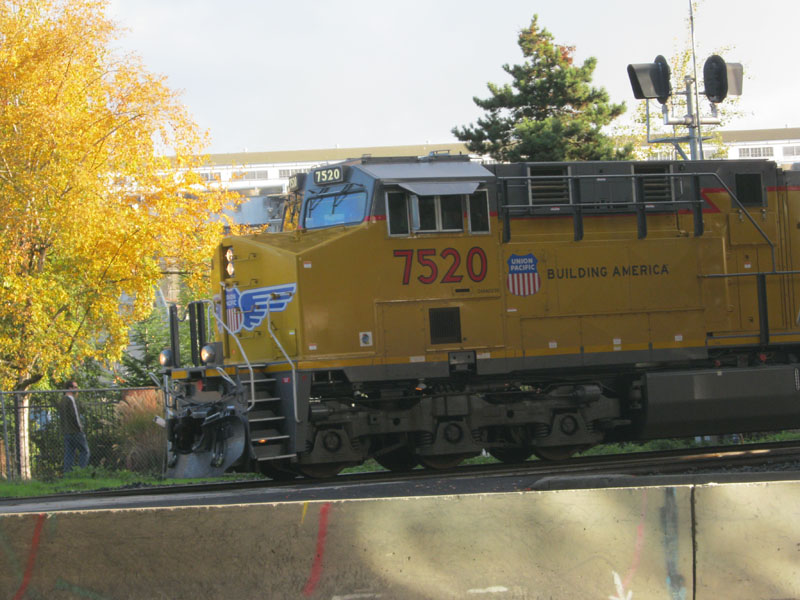 IMG_1674.JPG