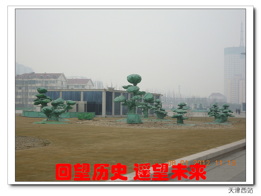 010.jpg