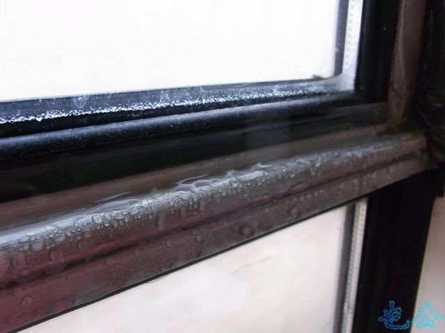 新建文件夹 (2)R0017392.jpg