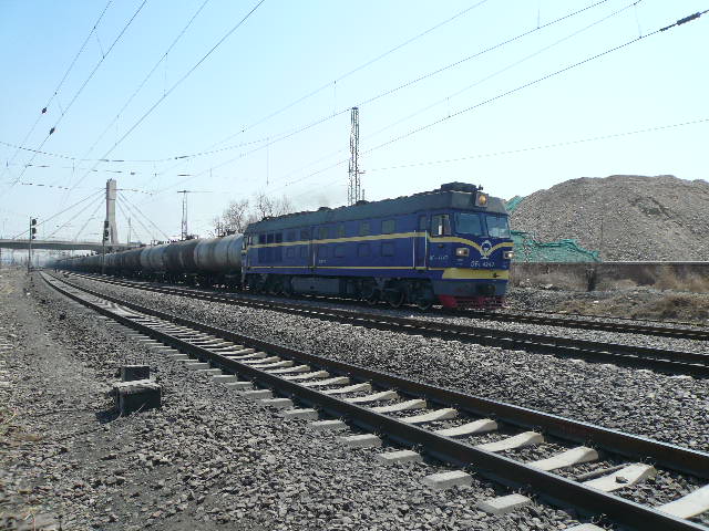 P1050601.JPG