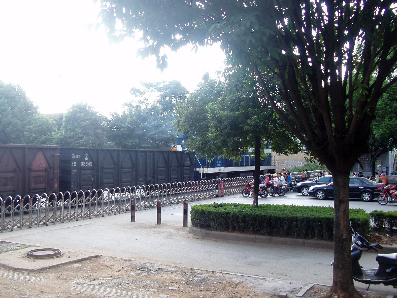 P7312333.jpg