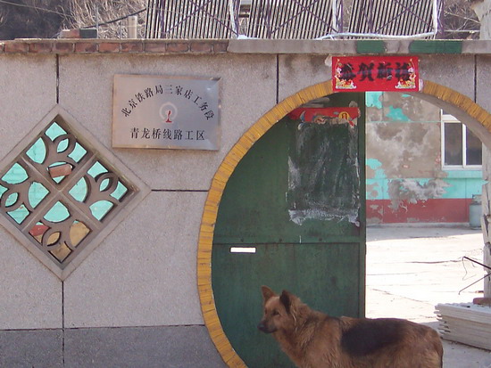 100_7751.jpg