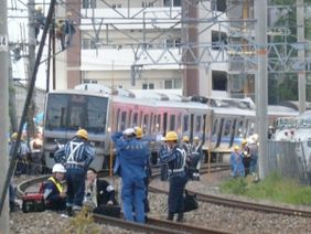 282px-Fukuchiyama_joko20051.jpg