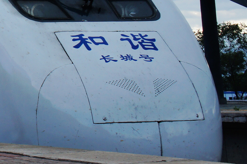 DSC00317.jpg