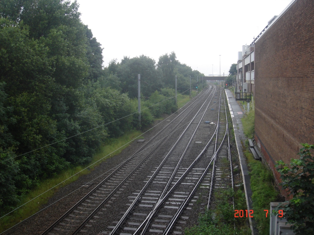 DSC00627.JPG