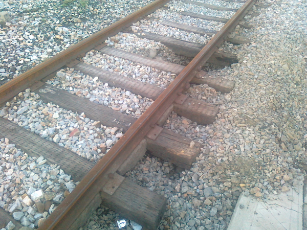 DPP_0001.JPG