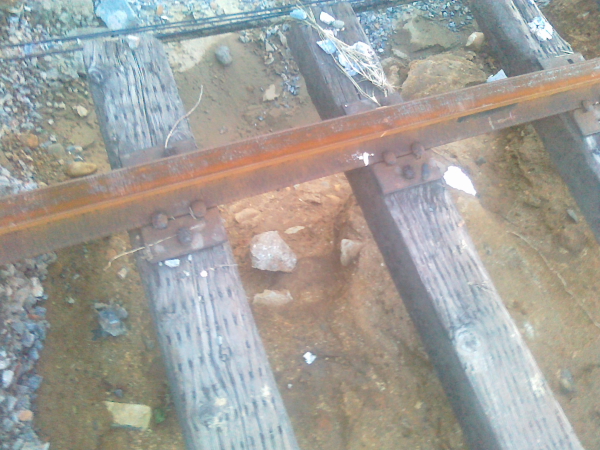 DPP_0010.JPG