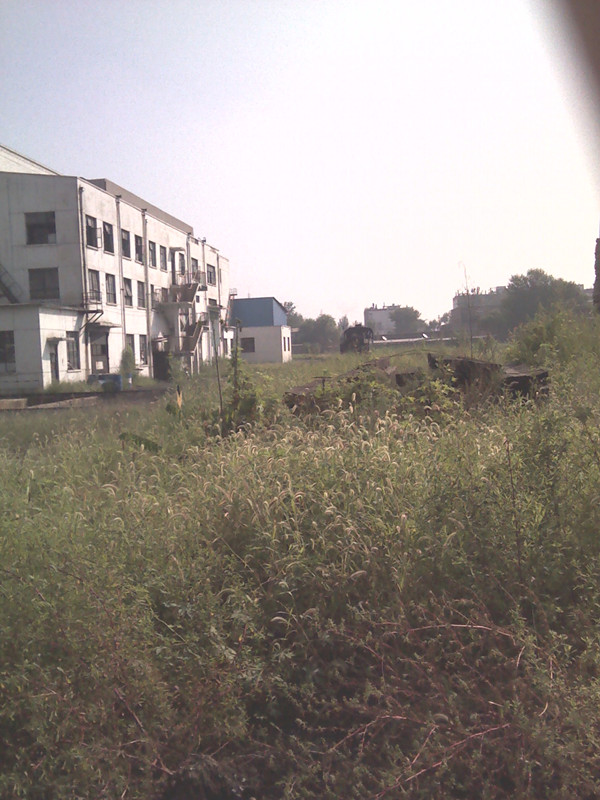 IMG_20120815_090906_副本.jpg