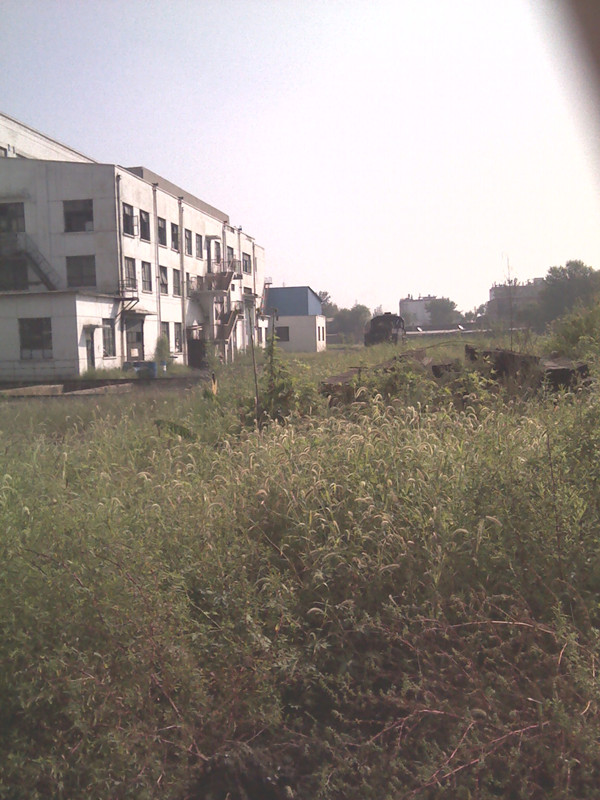 IMG_20120815_090909_副本.jpg