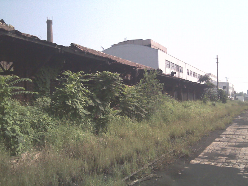 IMG_20120815_093330_副本.jpg
