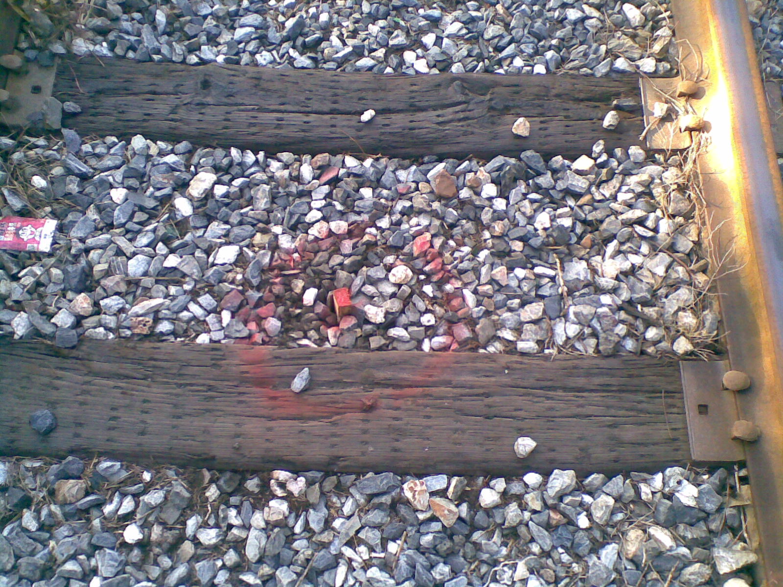 20120819.jpg